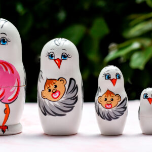 Stork – Baby Girl (Set of 5)